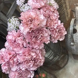 Meet your Posher, Audrey